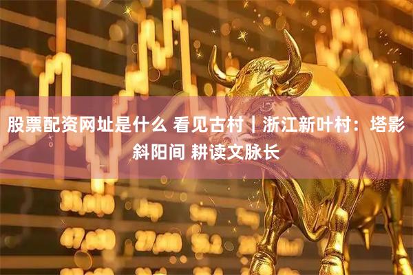 股票配资网址是什么 看见古村｜浙江新叶村：塔影斜阳间 耕读文脉长
